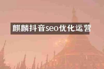麒麟抖音seo优化运营