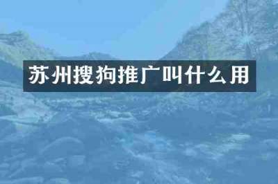 苏州搜狗推广叫什么用