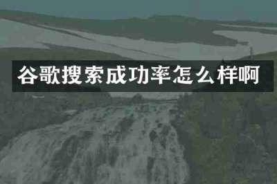 谷歌搜索成功率怎么样啊
