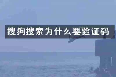 搜狗搜索为什么要验证码