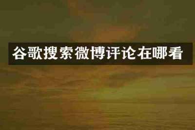 谷歌搜索微博评论在哪看