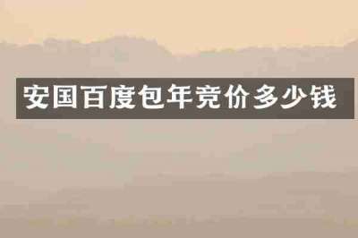 安国百度包年竞价多少钱