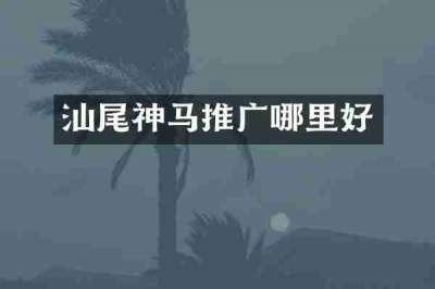 汕尾神马推广哪里好