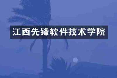江西先锋软件技术学院