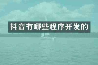 抖音有哪些程序开发的