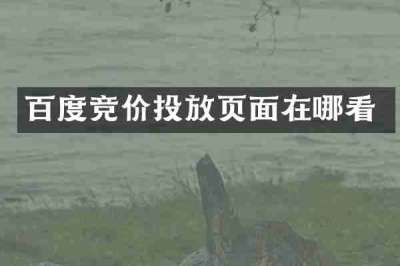 百度竞价投放页面在哪看