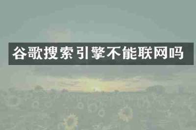 谷歌搜索引擎不能联网吗