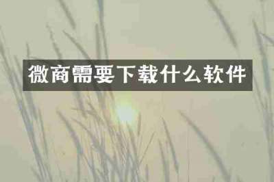 微商需要下载什么软件
