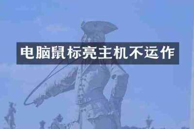 电脑鼠标亮主机不运作