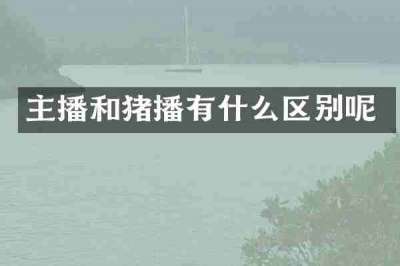 主播和猪播有什么区别呢
