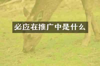 必应在推广中是什么