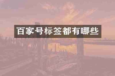 百家号标签都有哪些