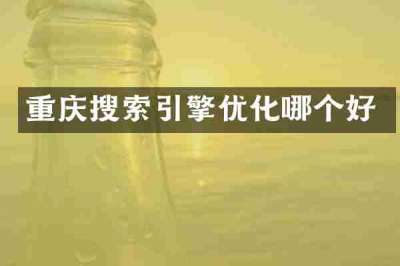 重庆搜索引擎优化哪个好