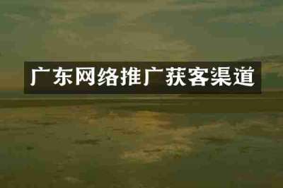 广东网络推广获客渠道