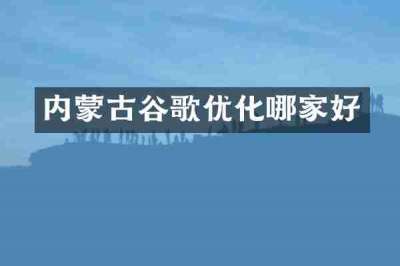 内蒙古谷歌优化哪家好