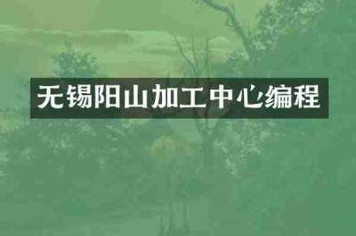 无锡阳山加工中心编程