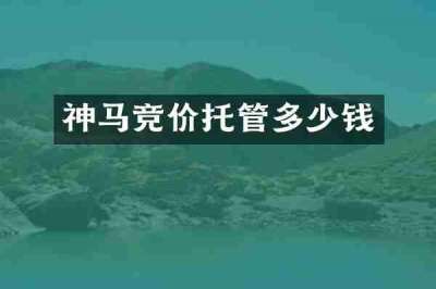 神马竞价托管多少钱