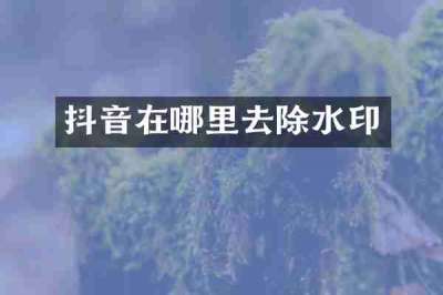 抖音在哪里去除水印