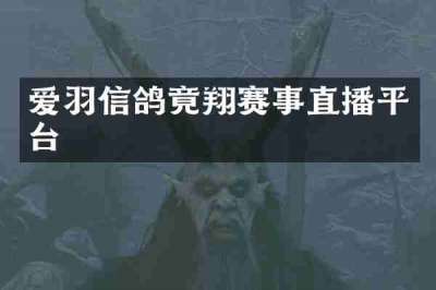 爱羽信鸽竟翔赛事直播平台