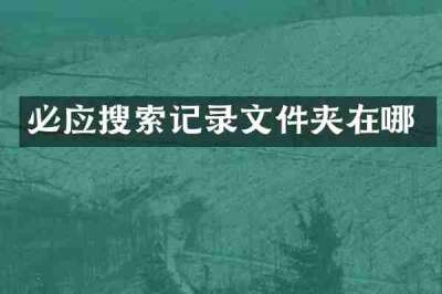 必应搜索记录文件夹在哪