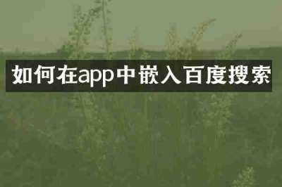 如何在app中嵌入百度搜索