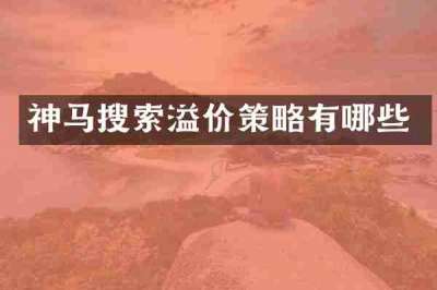 神马搜索溢价策略有哪些