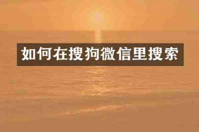 如何在搜狗微信里搜索