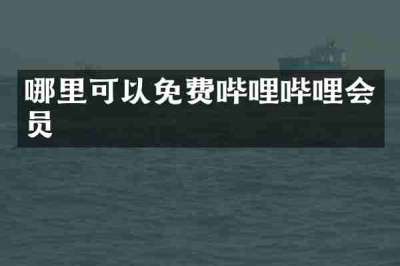 哪里可以免费哔哩哔哩会员