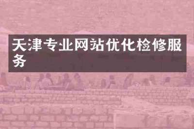 天津专业网站优化检修服务