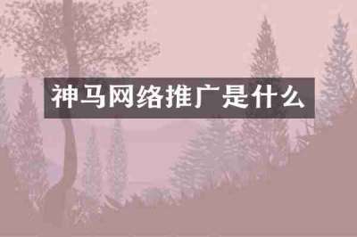 神马网络推广是什么