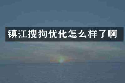 镇江搜狗优化怎么样了啊