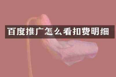 百度推广怎么看扣费明细