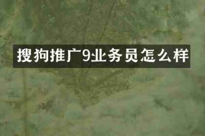 搜狗推广9业务员怎么样