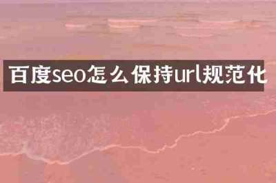 百度seo怎么保持url规范化