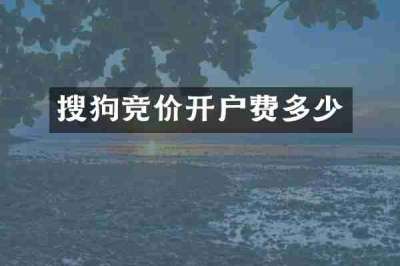 搜狗竞价开户费多少