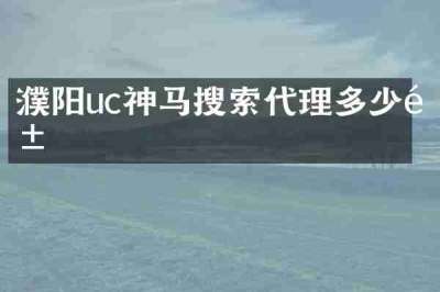 濮阳uc神马搜索代理多少钱