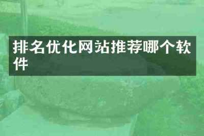 排名优化网站推荐哪个软件