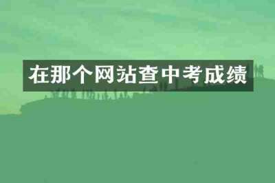 在那个网站查中考成绩