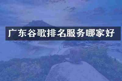 广东谷歌排名服务哪家好
