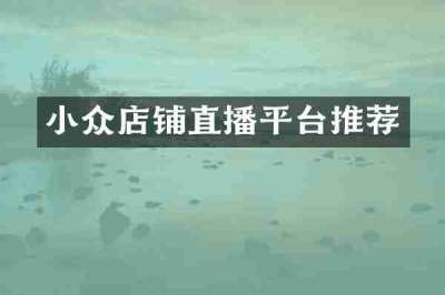 小众店铺直播平台推荐