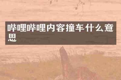 哔哩哔哩内容撞车什么意思