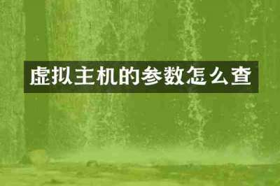 虚拟主机的参数怎么查