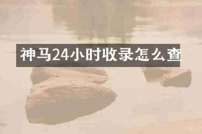 神马24小时收录怎么查