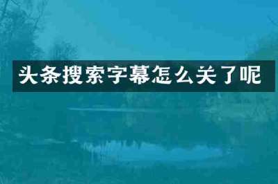 头条搜索字幕怎么关了呢