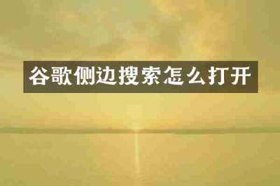 谷歌侧边搜索怎么打开