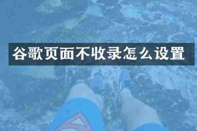 谷歌页面不收录怎么设置