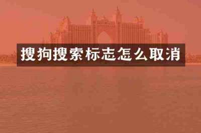 搜狗搜索标志怎么取消
