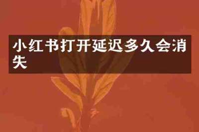 小红书打开延迟多久会消失