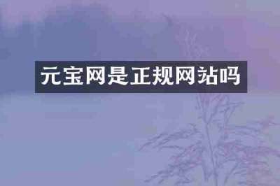 元宝网是正规网站吗