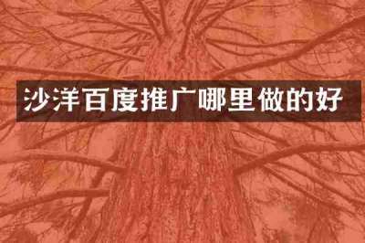 沙洋百度推广哪里做的好